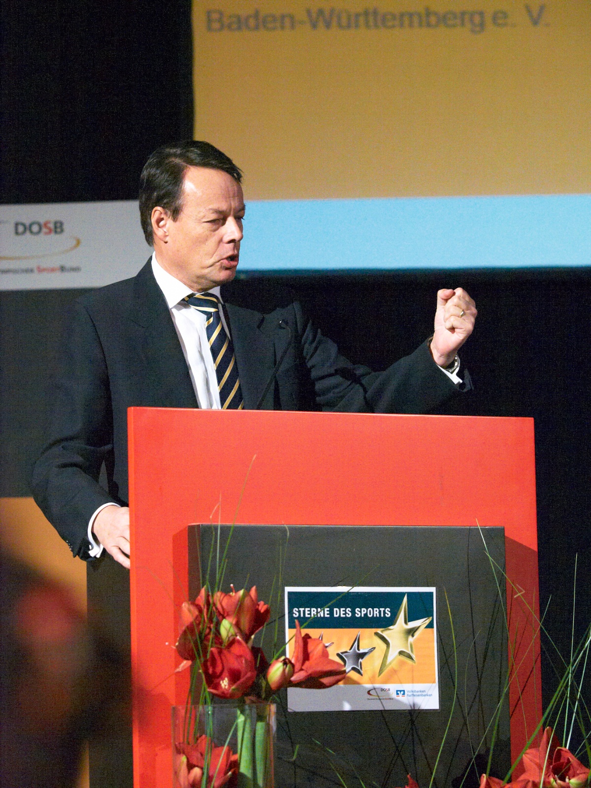 Sterne des Sports 19